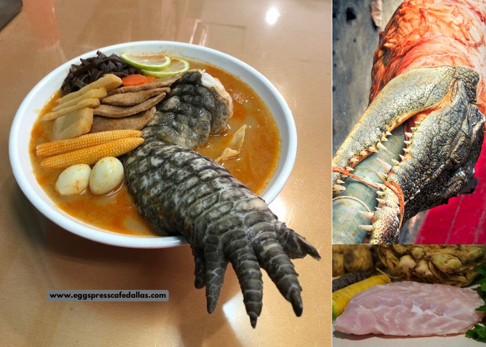 Mereview Daging Buaya: Rasa, Tekstur, dan Manfaatnya